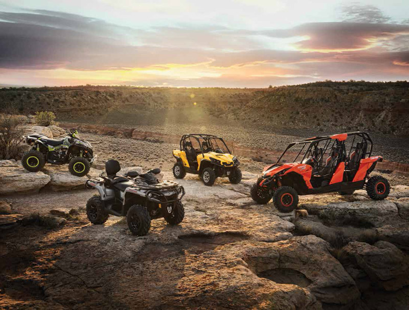Новый модельный ряд 2015 Can-Am